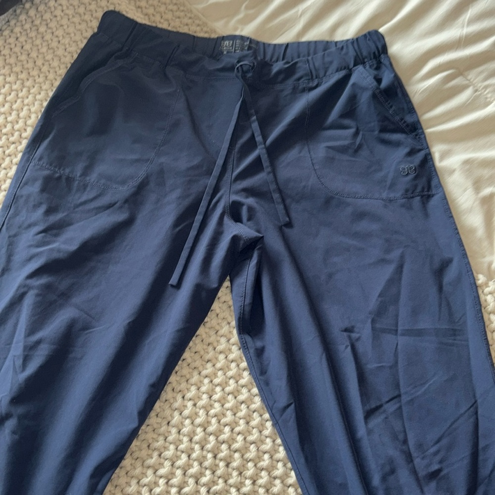 Albion jetsetter jogger pants